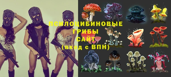 мяу мяу мука Балахна