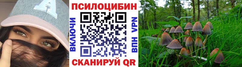 ссылка на мегу ССЫЛКА  Лысково  Псилоцибиновые грибы Cubensis 